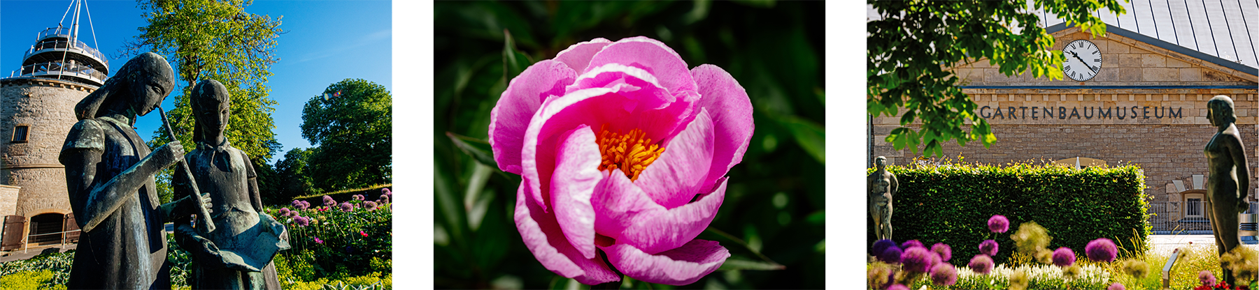 Bilder aus dem Skulpturengarten Bilder aus dem Skulpturengarten