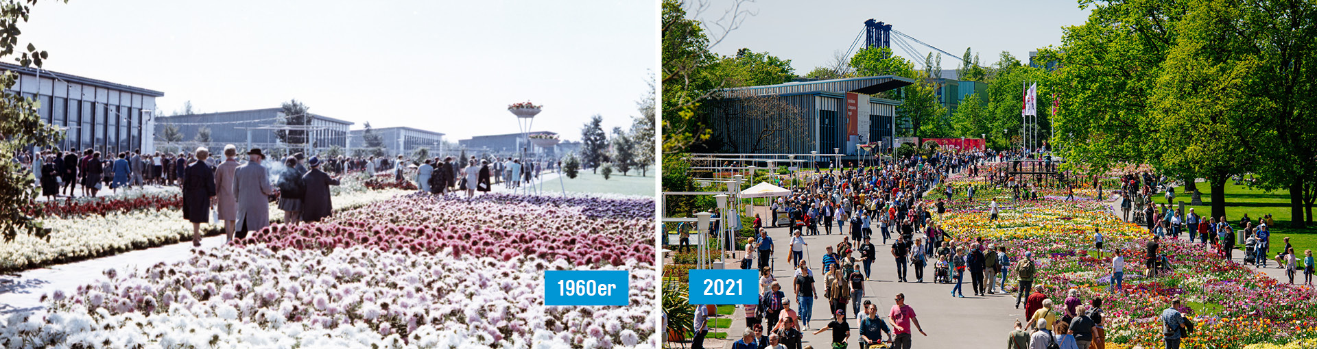 Ansichten des egaparks von 1960 und von heute