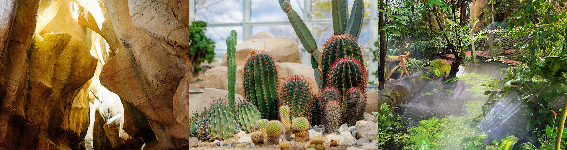 Ansichten der Wüste und des Urwalds im Danakil-Haus