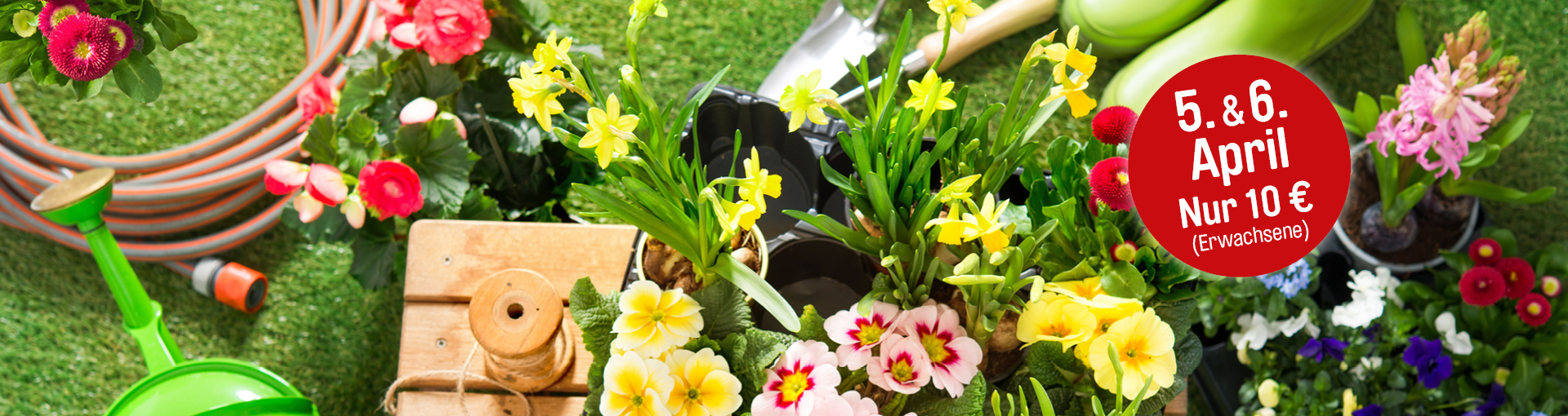 Blumen und Gartengeräte