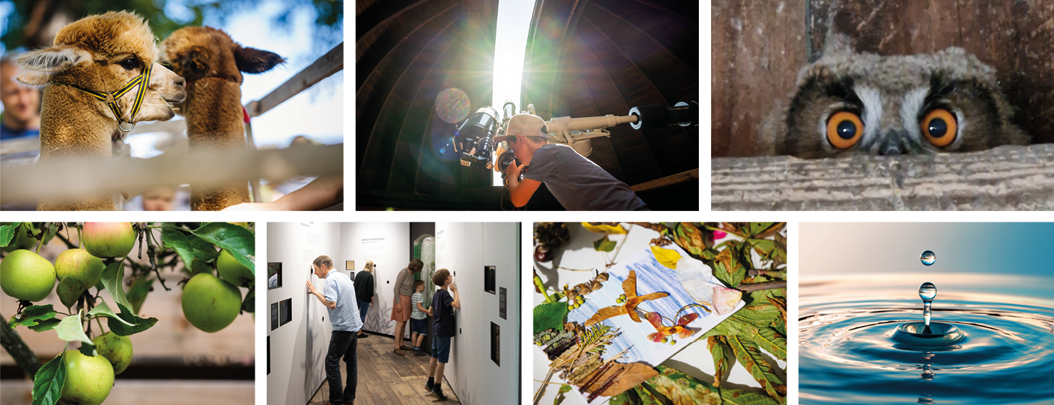 collage mit Programmpunkten collage mit Programmpunkten