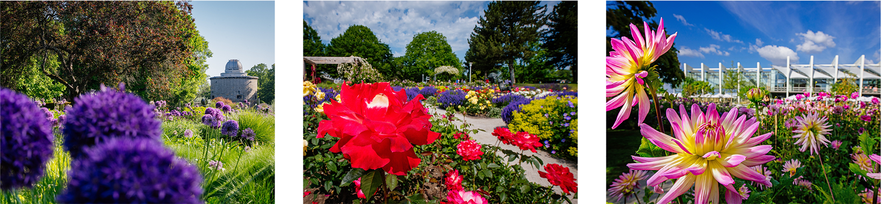 Blumenansichten im egapark