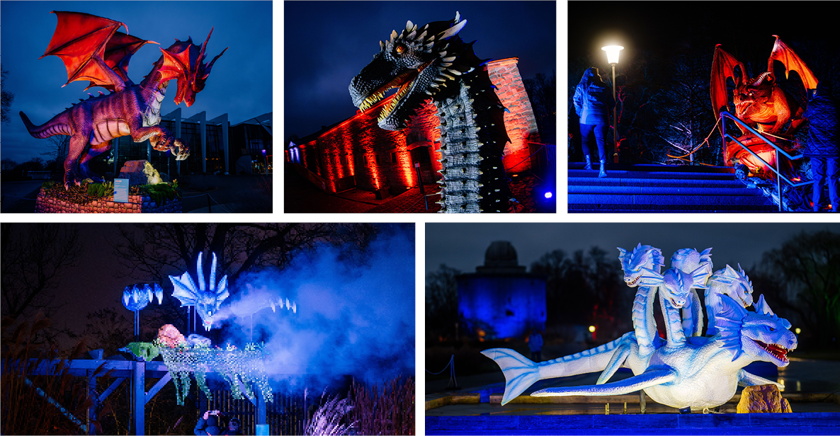 die beleuchteten Drachen als Collage