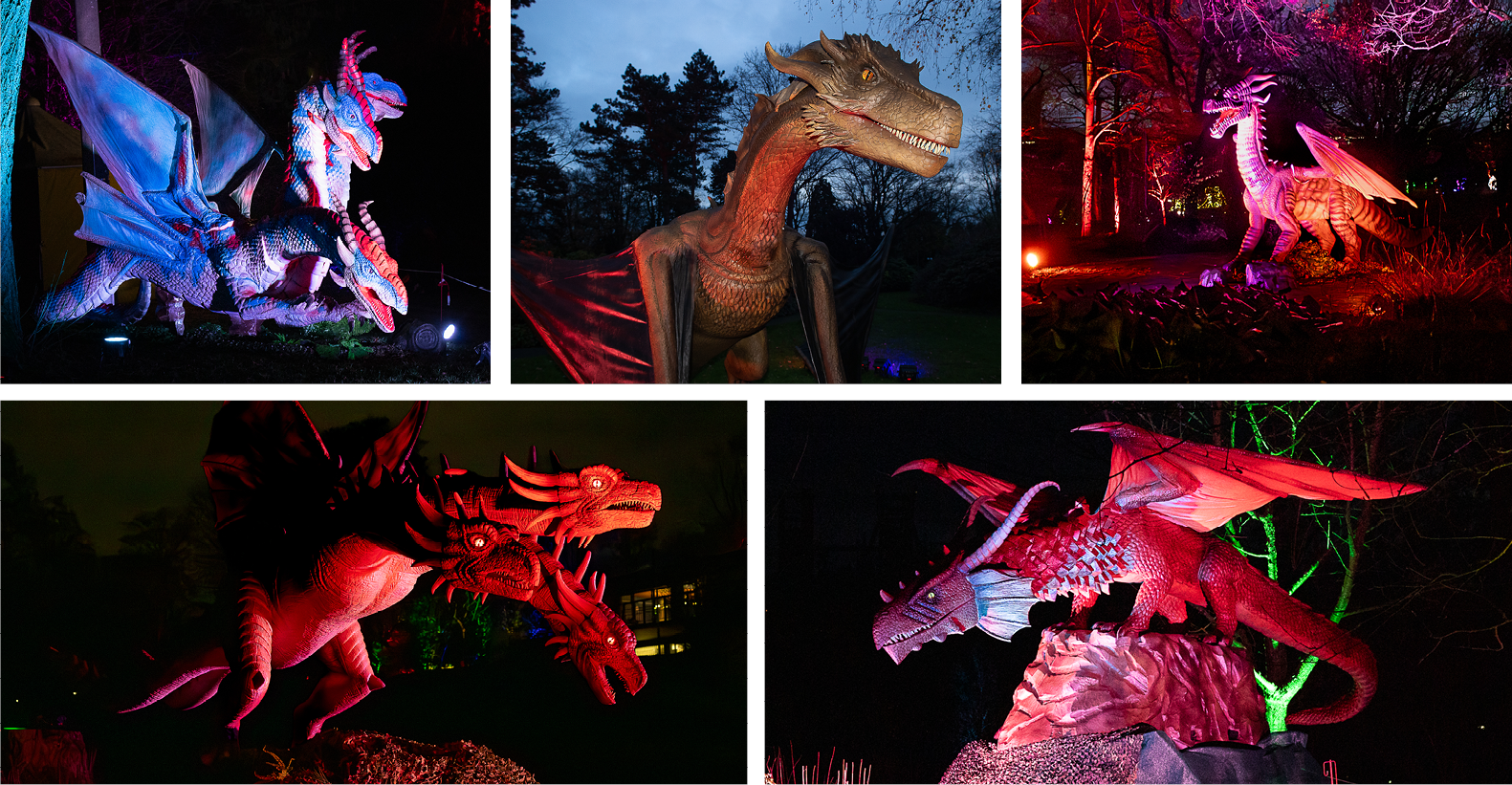 Drachen