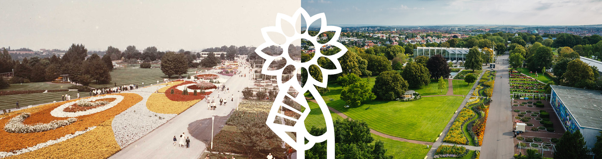 Ansicht gro&szlig;es Blumenbeet - links von 1961, rechts von 2026