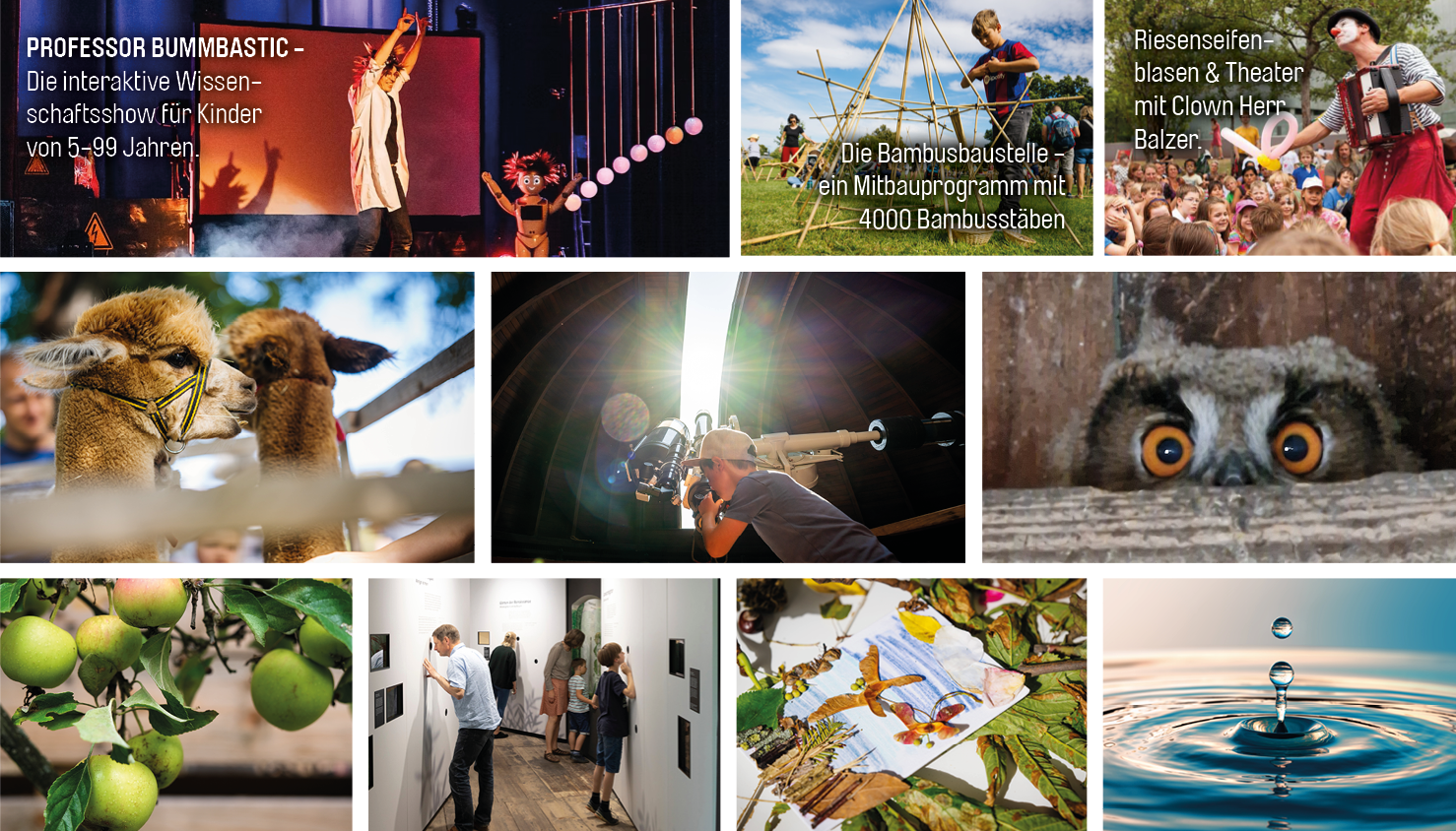 collage mit Programmpunkten