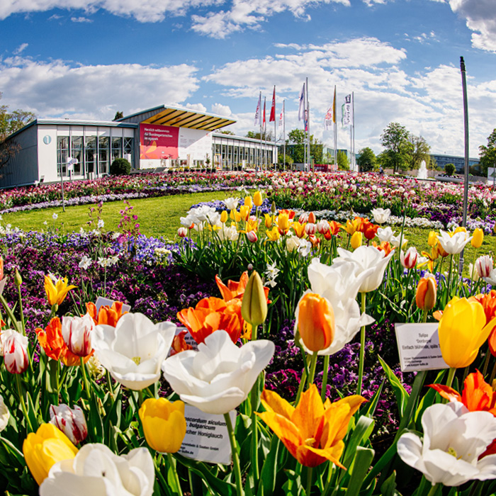 egapark