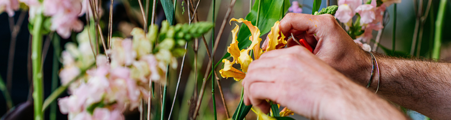 Blumen werden arrangiert 