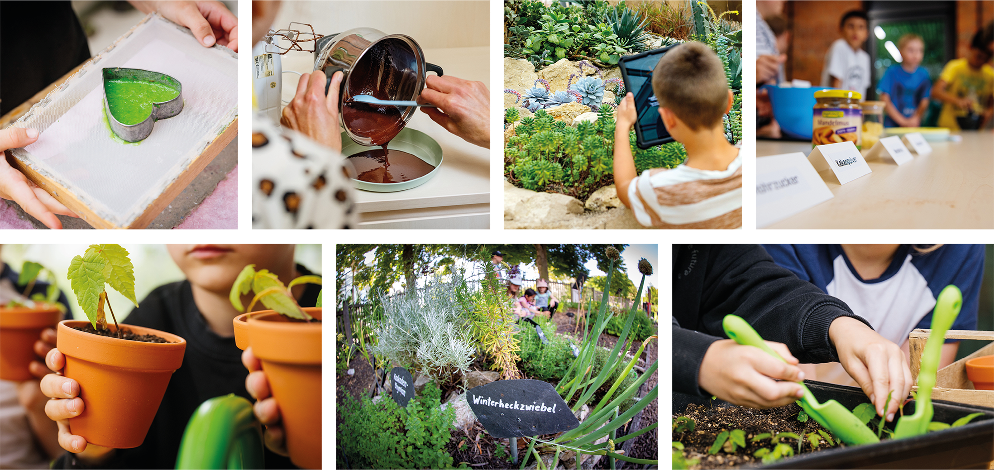 Verschiedenen Eindr&uuml;cke von Projekten des gr&uuml;nen Klassenzimmers