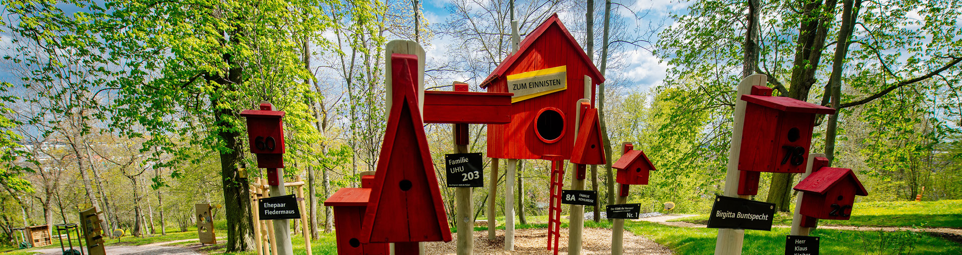 Nistkästen im Wissenswald