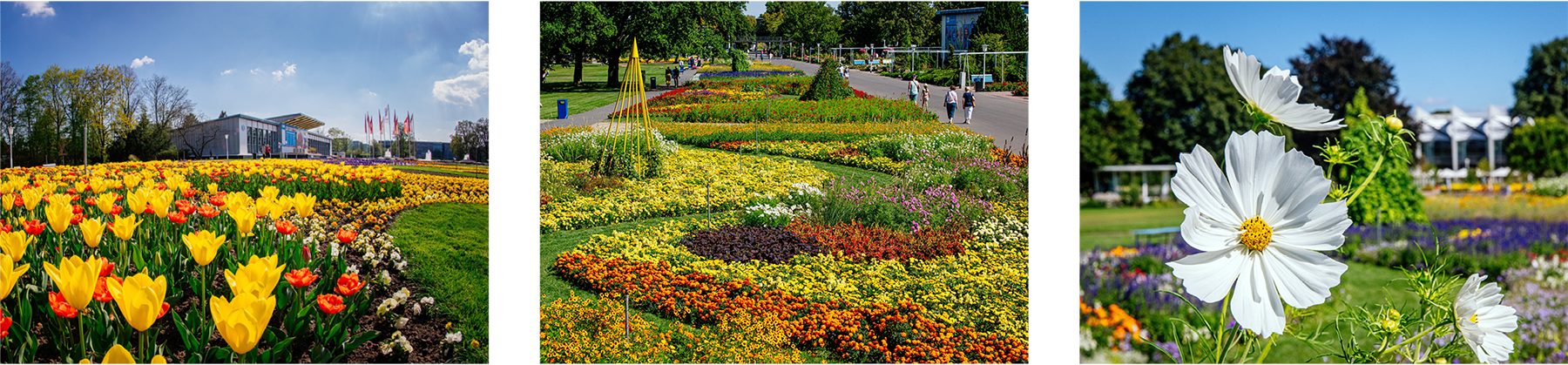 Ansichten des großen Blumenbeets Ansichten des großen Blumenbeets