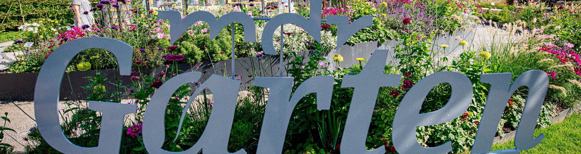 mdr Garten